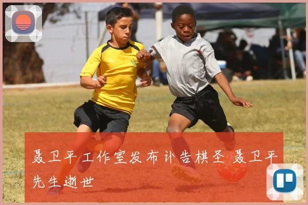 聂卫平工作室发布讣告棋圣 聂卫平先生逝世