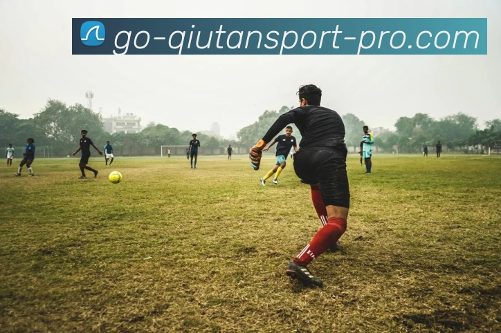 球探体育全站App